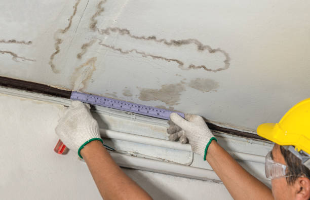 24/7 Emergency Water Damage Repair experts in Petersburg, MI