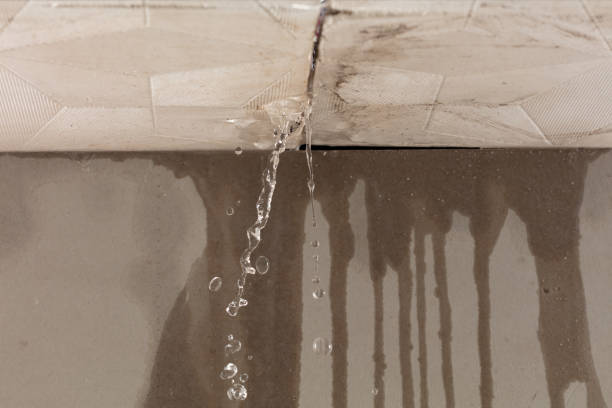 Professional Water Damage Repair technician working in Petersburg, MI